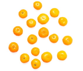 fresh tangerines on a white background