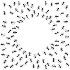 Group of ants around an empty circle. Background with copy space