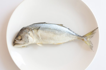 fresh fish on a plate