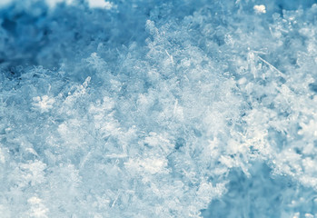 natural snow background from many crystals of snowflakes of various shapes and texture shimmer in the sun on a clear winter day