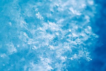 natural snow background from many crystals of snowflakes of various shapes and texture shimmer in the sun on a clear winter day