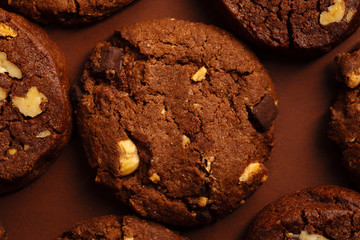 Closeup shot of chocolate cookies on brown background. Monochromatic concept.