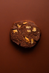 Closeup shot of chocolate cookie on brown background. Monochromatic concept.