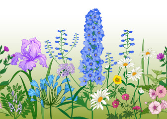 Seamless summer pattern. Border with Wild flowers.