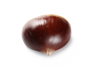 Edible chestnut isolated on white background