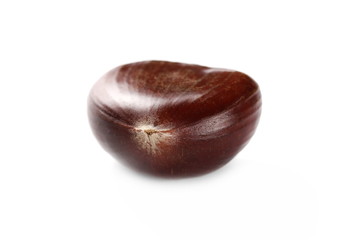 Edible chestnut isolated on white background