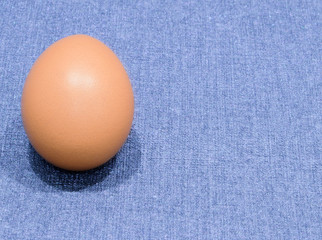 chicken egg on the background