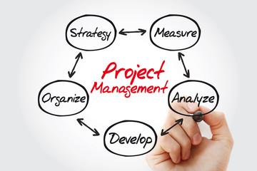 Project management mind map with marker, business concept