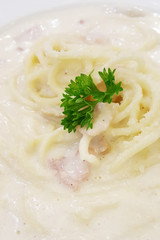 pasta with sauce and cheese