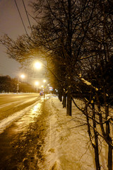 sunset in the forest