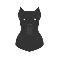 Cane Corso dog logo. Dog breed cane Corso isolated on white background. Vector illustration.