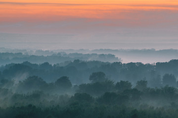 Mystical view from top on forest under haze at early morning. Mist among layers from tree silhouettes in taiga under warm predawn sky. Morning atmospheric minimalistic landscape of majestic nature.