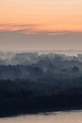 Obraz premium Mistyczny widok na brzeg rzeki dużej wyspy z lasem we mgle wczesnym rankiem. Niesamowita mgiełka wśród warstw sylwetki drzew. Poranny nastrojowy krajobraz majestatycznej przyrody w wyblakłych odcieniach błękitu.