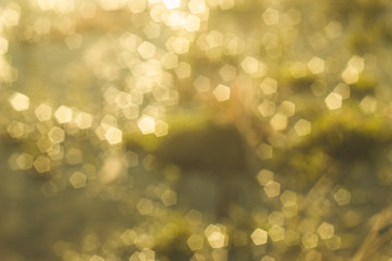 abstract background with bokeh