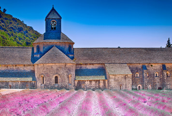 Lavender Fields At Senanque Monastery