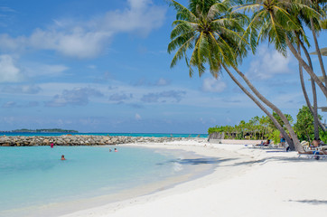 Obraz premium Landscape the coast of the Indian Ocean on Maldives