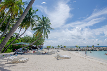 Landscape the coast of the Indian Ocean on Maldives