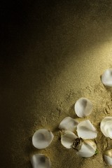 White rose petals on gold dust background