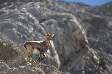Parco Nazionale dello Stelvio