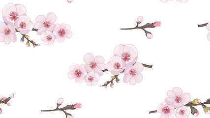 Fototapeta na wymiar Handmade Seamless pattern in the Japanese style. Spring pattern of sakura flowers. Magenta on white background. Design element for textiles, wallpaper, packaging, printing.