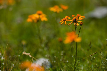 Parco Nazionale dello Stelvio