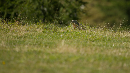 Parco Nazionale dello Stelvio