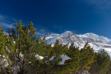Panoramic view of a winter mountain landscape.
