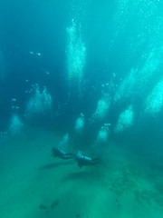 Fototapeta na wymiar Underwater view with diver