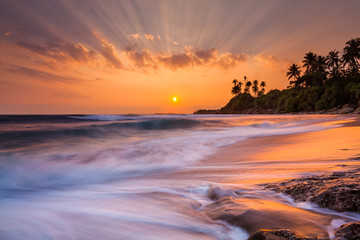 Romantic sunset on a tropical beach with palm trees