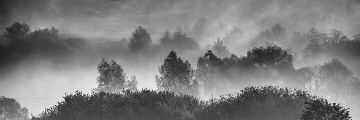 Foggy morning in the meadow, countryside.  Banner for design.