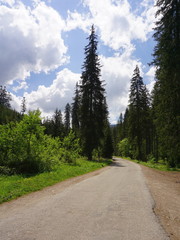 Fototapeta na wymiar Main trail to Chocholowska Valley in Tatra Mountains, Poland