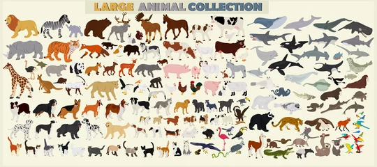 Fotobehang Een groot aantal dieren van de wereld op een lichte achtergrond. © daudau992