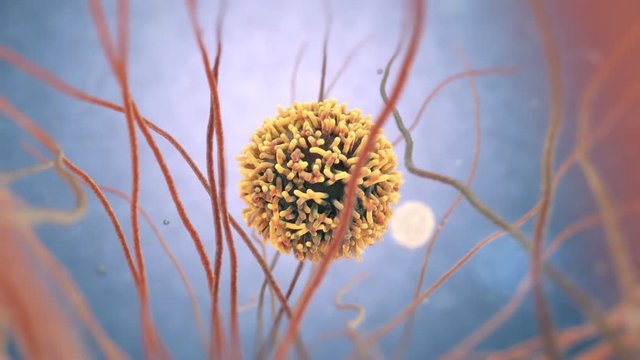 3d animation of white blood cells also called leukocytes or leucocytes