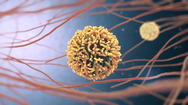 3d animation of white blood cells also called leukocytes or leucocytes