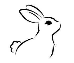 rabbit line art