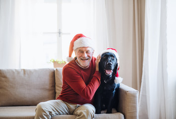 A senior man sitting on a sofa indoors with a pet dog at home, wearing Santa hats.