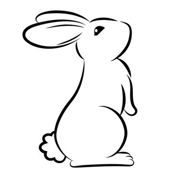 Buy Rabbit Drawing Bunny Drawing Bunny Print Rabbit Print Online in India   Etsy