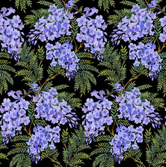 Seamless background pattern. Jacaranda tree with flowers and leaves. Version2