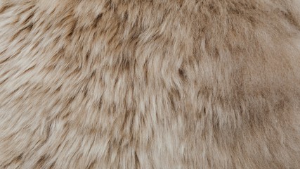 brown sheepskin fur texture background