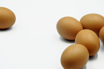 Fresh eggs on white background with space for text