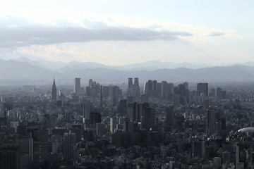 Fototapeta na wymiar Gray monochrome city Tokyo