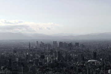 Gray monochrome city Tokyo