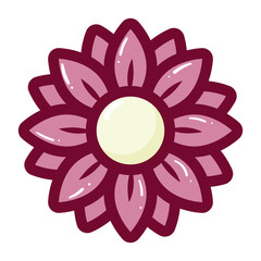 delicate flower on white background