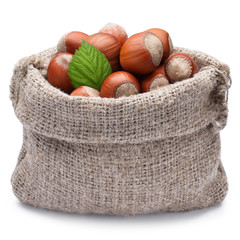 Burlap sack full of hazelnuts, isolated on white background