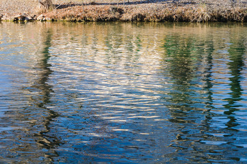 Reflections on the river