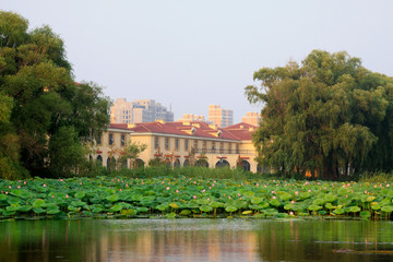 Obraz premium Urban construction and the grassland scenery, China