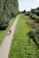 Fototapeta na wymiar unrecognizable cyclist cycling on bicycle path in nature