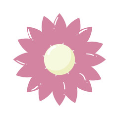 delicate flower on white background