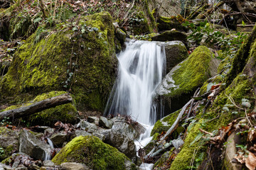 Krasnaya Polyana, Sochi, Russia. Green moss on large rocks and a stream of water in the unnamed waterfall. Beautiful nature of spring forest in the mountains