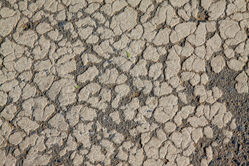 Mottled reticular trace on the asphalt road